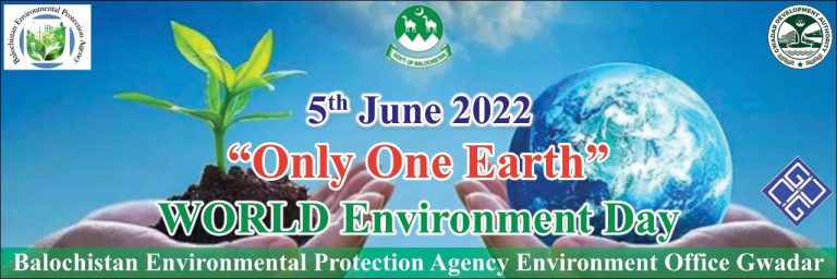 world environment day