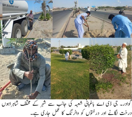 The process of planting trees and watering the trees on various roads of the city is going on by the GDA Horticulture Department.